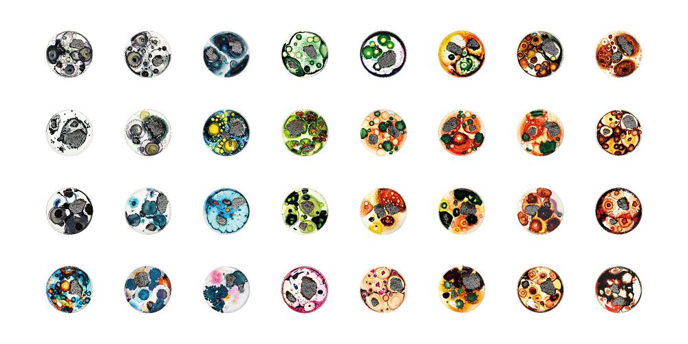 絕美微觀玻璃擴香座！The New Normal氣味培養皿、蜂巢擴香石共譜沉浸嗅覺體驗