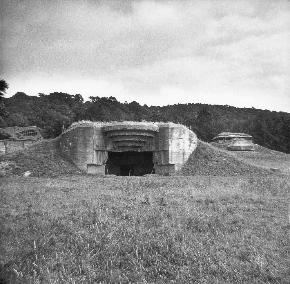 2023台北雙年展「小世界」北美館亮相！花園照護者雕塑、馬賽克磚牆等20+作品亮點