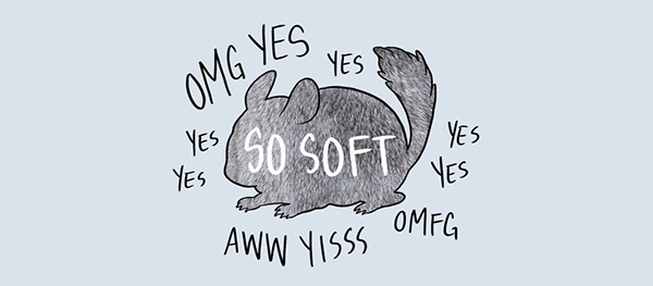 撫摸寵物教戰守則，照指南摸就對了！