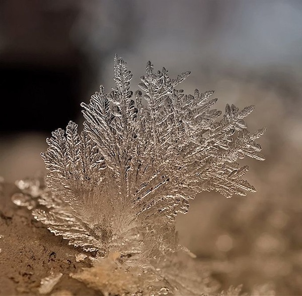 微距之美：精緻無比的微雪景