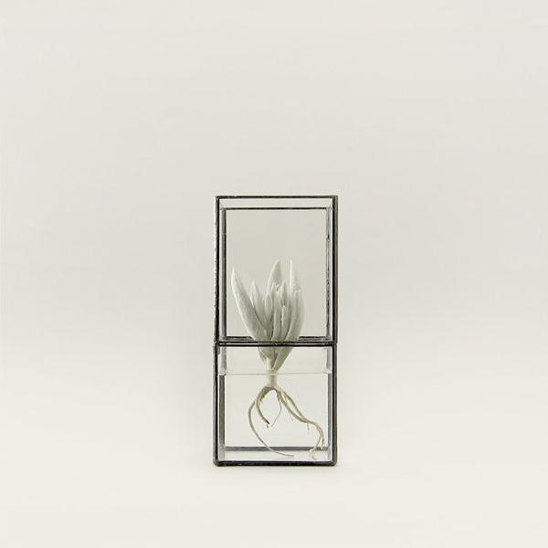 極簡盆栽器皿，把綠意包覆在幾何方塊中