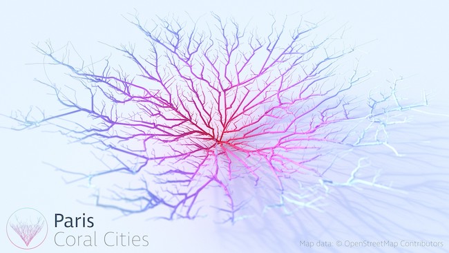城市中美麗的珊瑚圖騰，融合科學與藝術的 Coral Cities 地圖設計