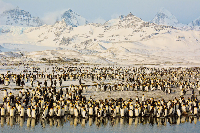 徵件中!2016「年度國家地理雜誌旅行攝影師大賽」參賽精選