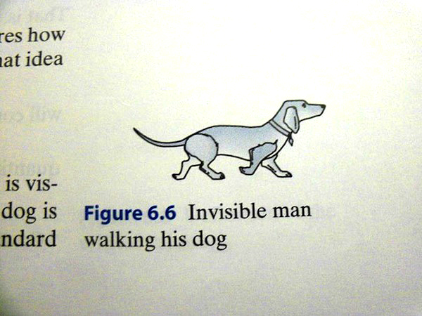 令人忍不住搖搖頭！不妥當怪異教科書內容