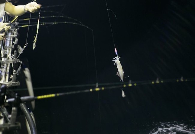 【玩體驗】基隆海釣體驗！化身富豪開遊艇還能帶回滿滿漁獲