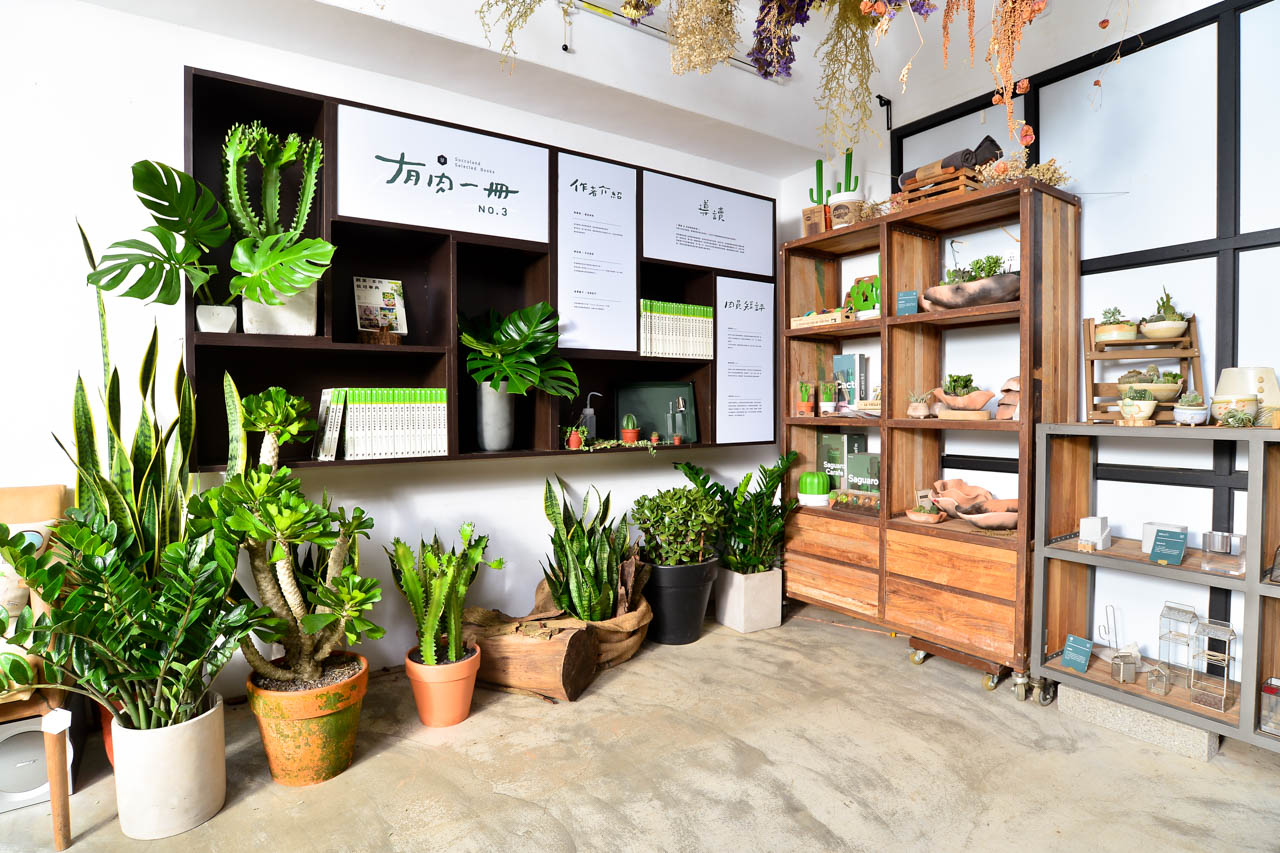 綠手指如何養成？綠意居家生活新手的指南、專家推薦 3 種輕鬆入門植物！