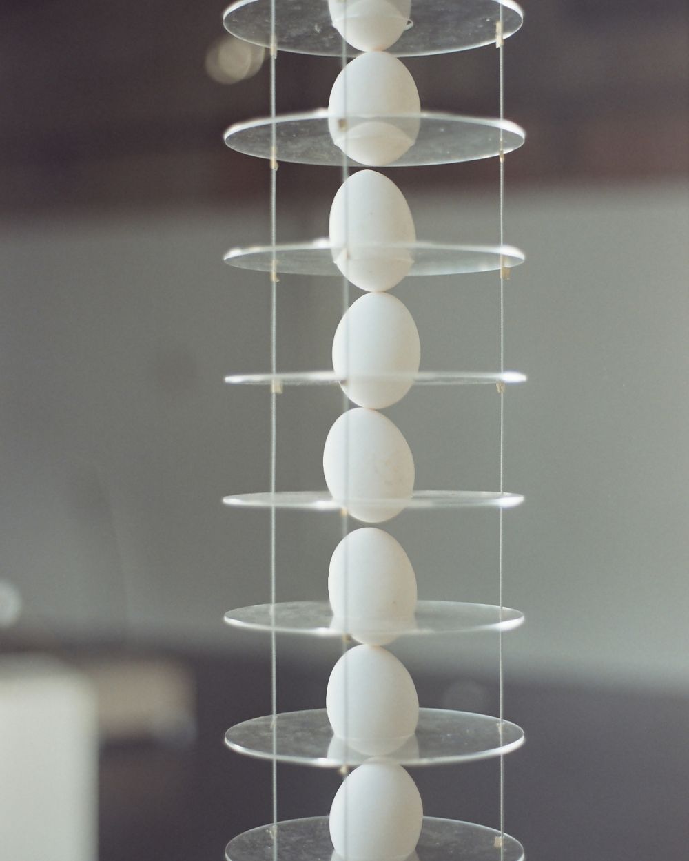 台北鬧空間《蛋架發表免責聲明2.0》趣味展覽！工業設計師陳亮融挑戰微妙的危險張力