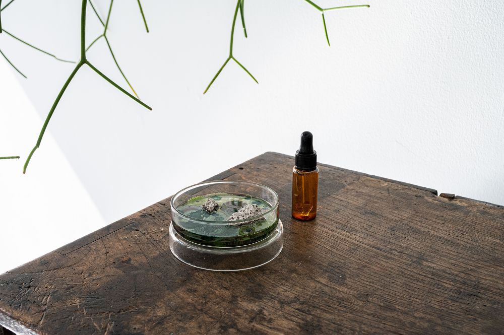 絕美微觀玻璃擴香座！The New Normal氣味培養皿、蜂巢擴香石共譜沉浸嗅覺體驗