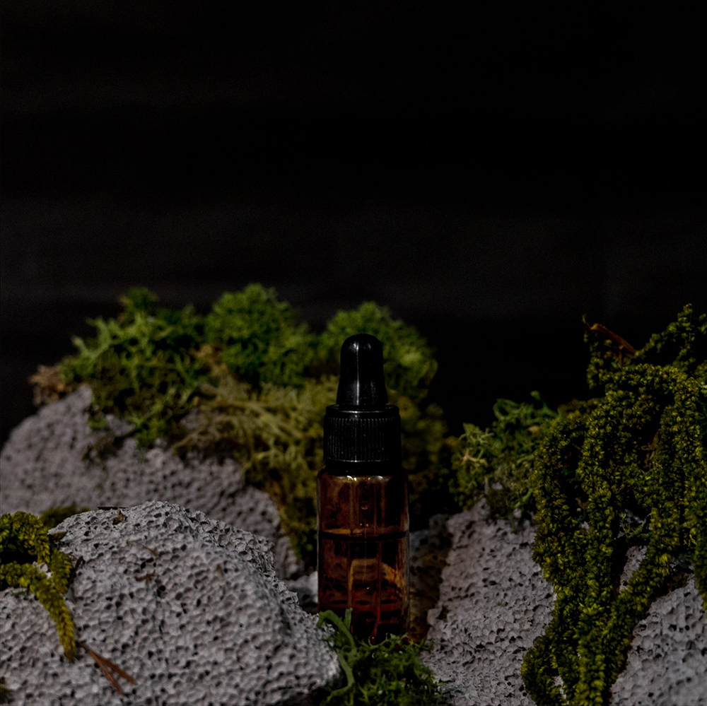 絕美微觀玻璃擴香座！The New Normal氣味培養皿、蜂巢擴香石共譜沉浸嗅覺體驗