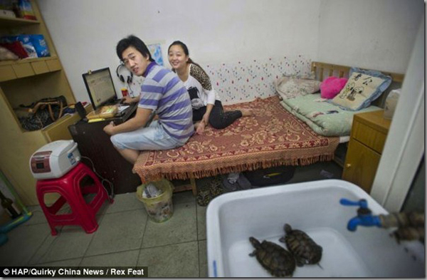 不可思議！在中國的超狹小膠囊住宅