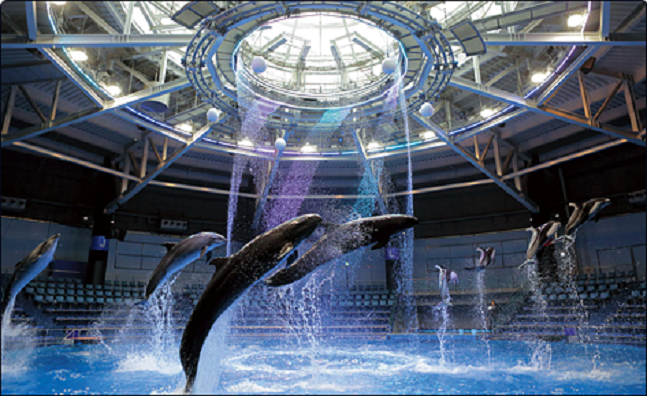 品川水族館變身冰雪世界!超夢幻的日本「SNOW AQUARIUM」展