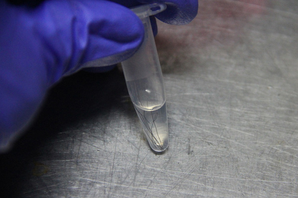 是不是有點變態…，收集陌生人的 DNA 製作 3D 肖像