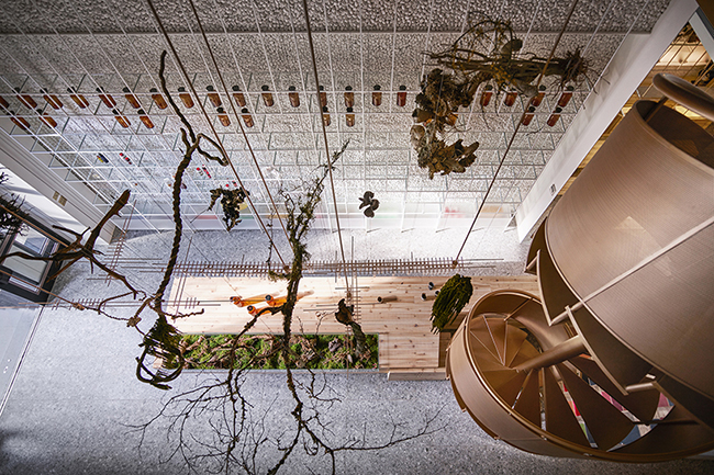 【台灣設計】沒有生病也想去！分子藥局打造綠色實驗室