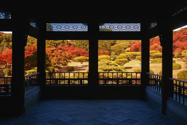 東京地下鐵開通 90 週年！最低 170 日幣就可體驗最便宜「東京九大絕景」