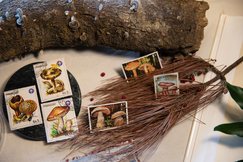 Home Hotel x 孩在「十三個房間 / 平行宇宙」隆重鉅獻