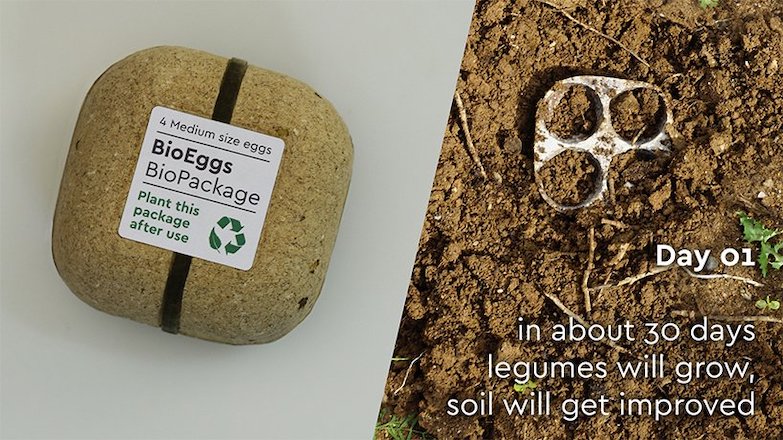 包裝 = 種籽＋土壤？希臘設計師創意打造會發芽的超「生氣」環保雞蛋盒 biopack！