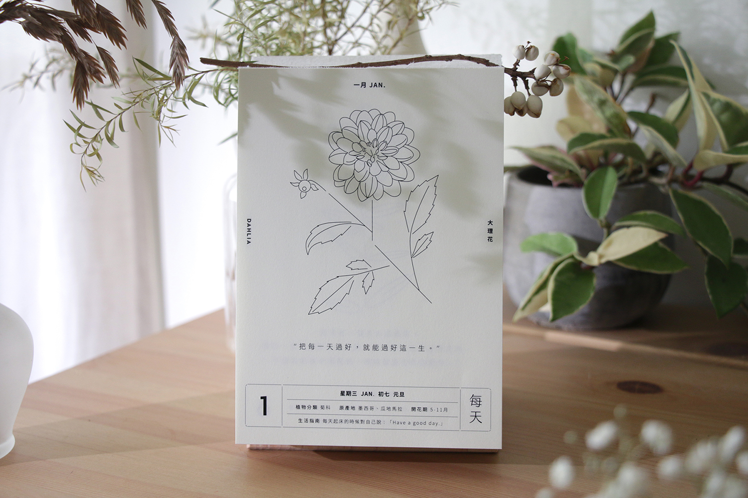 整年都有植物相伴！一隅有花推出《一年生》日曆勾勒植物姿態，結合溫暖字句撫慰日常生活
