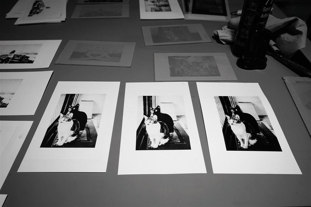 台北、台中7間風格攝影店！集結時光咖啡店、Lightbox攝影圖書室、暗房工作室