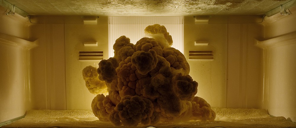 北美館2021展覽10大亮點！塩田千春百件作品、藝術大師盧明德回顧展