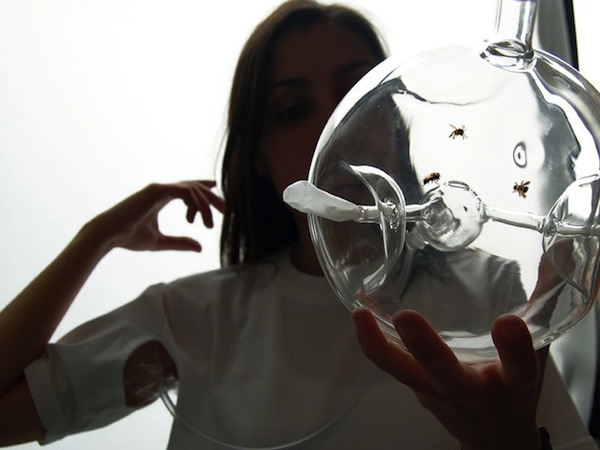 藝術x醫學x蜜蜂-幫人類診斷疾病的好的幫手!