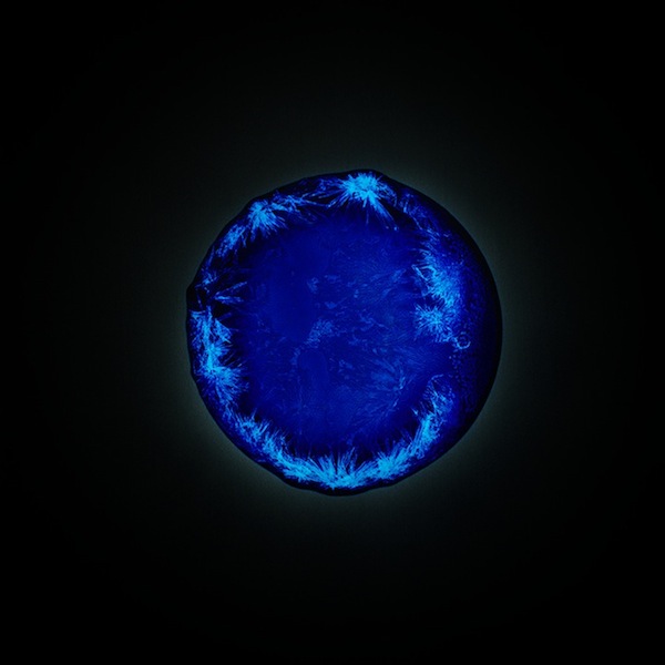 既美麗又邪惡的毒品顯微攝影集