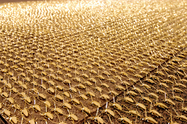 拿起拖鞋前先看仔細！鍍金的蟑螂雕塑（慎入：內有大量蟑螂）