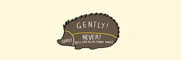 撫摸寵物教戰守則，照指南摸就對了！