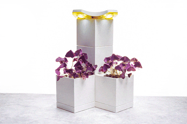 像樂高一樣堆疊、組裝，LeGrow智慧盆器輕鬆打造室內庭園生態系