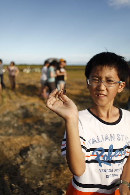 【玩體驗】稻田裡的餐桌－南澳熱血海陸饗宴