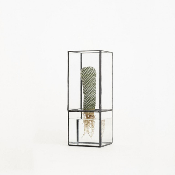 極簡盆栽器皿，把綠意包覆在幾何方塊中