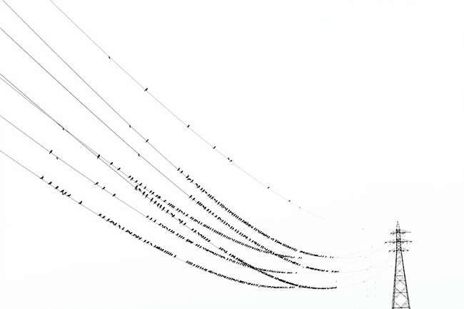 復仇的樂章！驚悚的東京黑鳥六線譜