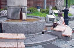 來去日本離島找貓玩！12座貓島，說走就走毫不遲疑！