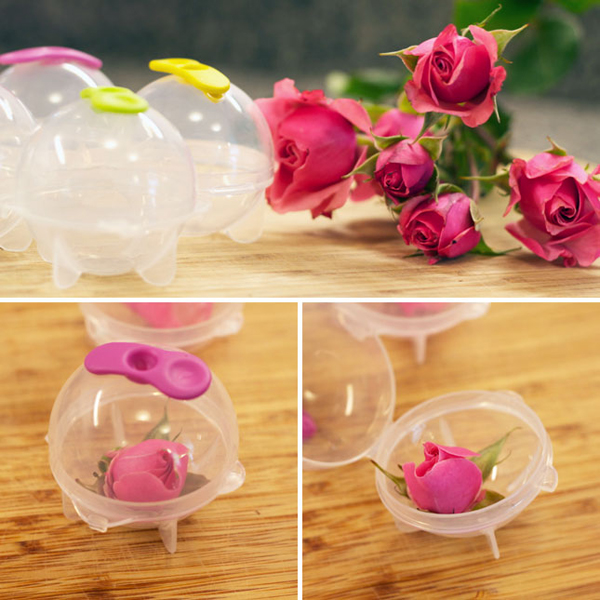 【DIY OK】味覺與視覺的夏日饗宴!玫瑰冰晶冰塊自己做