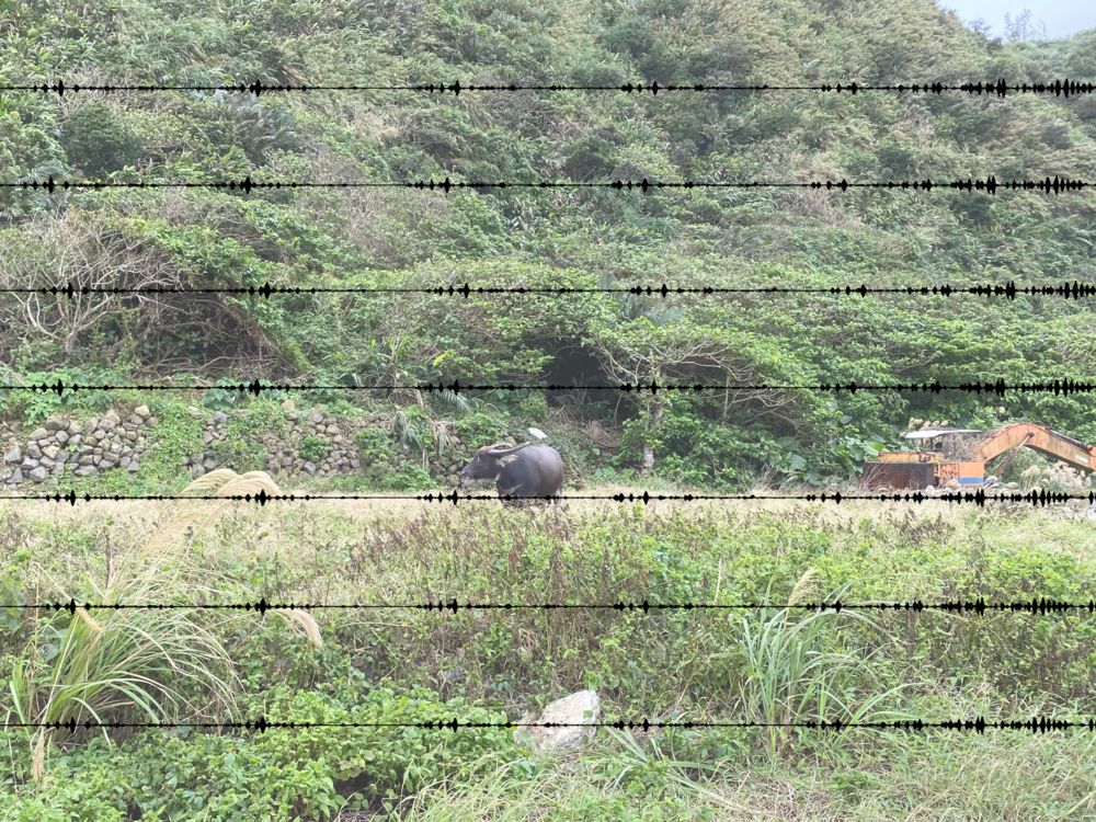 「假如綠島是一面鏡子」 2021綠島人權藝術季5月17日開展