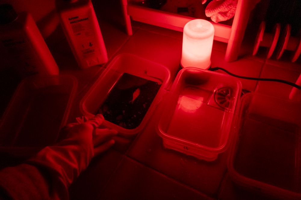 「假如綠島是一面鏡子」 2021綠島人權藝術季5月17日開展