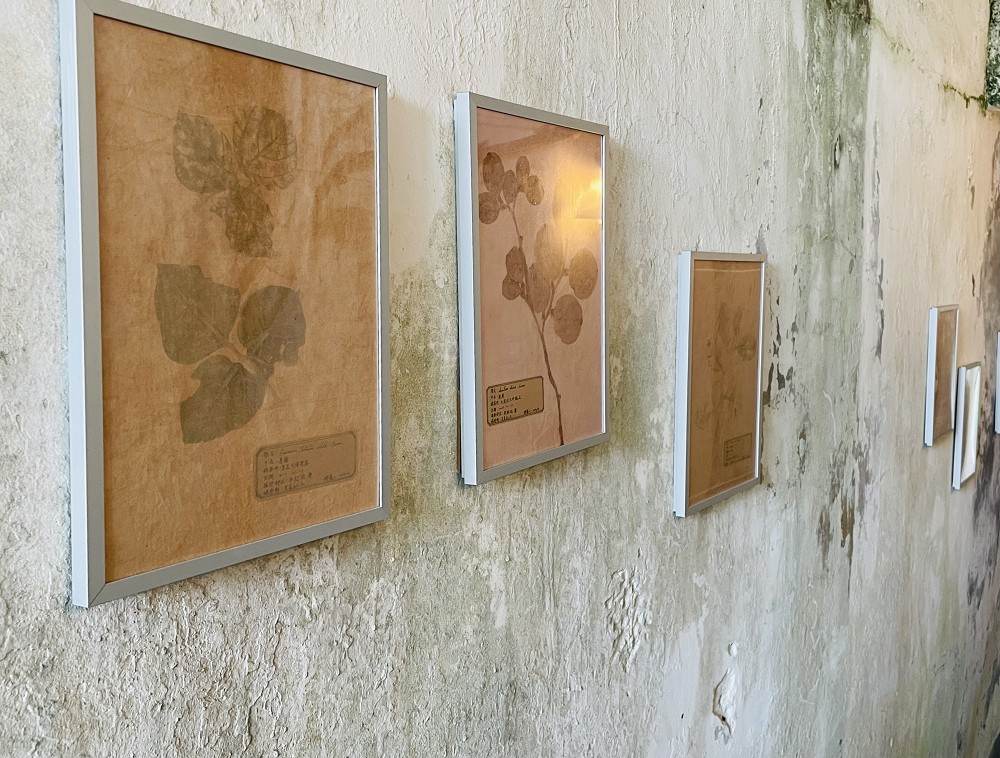 馬祖國際藝術島「迴島嶼吧」亮點！東莒路上藍眼淚、擺暝信仰土偶、限定美食