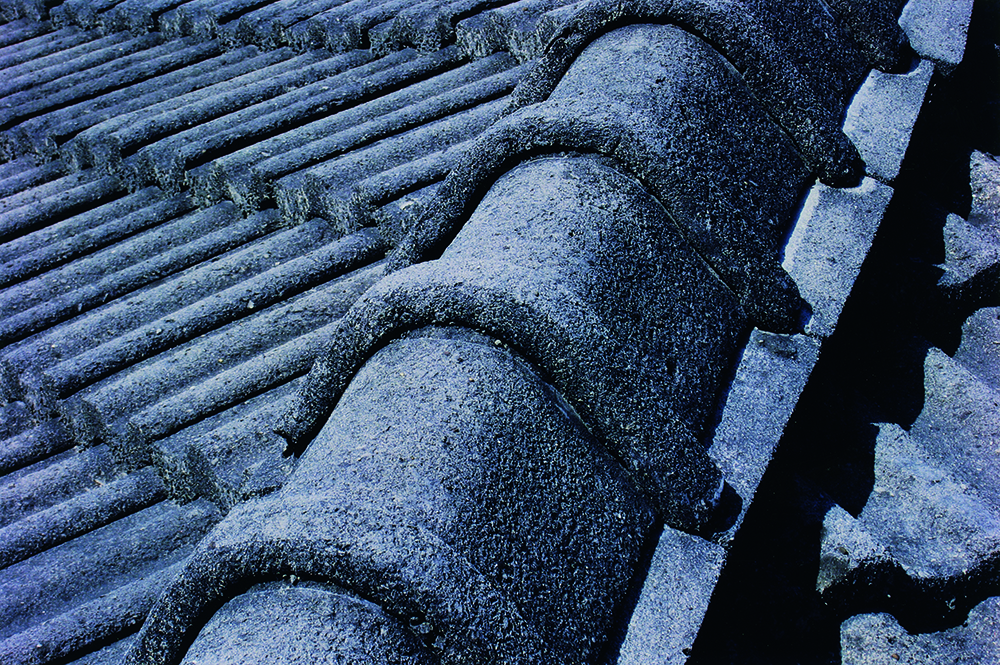 不只顏振發的電影手繪看板!《大井頭放電影:臺南全美戲院》收錄全美70年精彩大小事