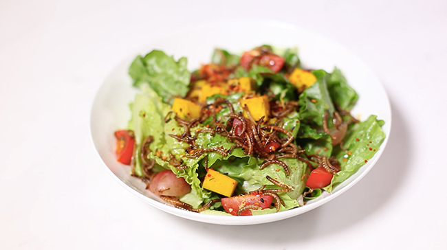 大啖前先深呼吸！世界首款家庭式昆蟲農場上桌