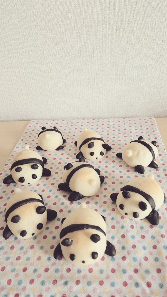 「變態!別再盯著我的屁股看」,柴犬屁屁糰子萌得你不知如何吃下口