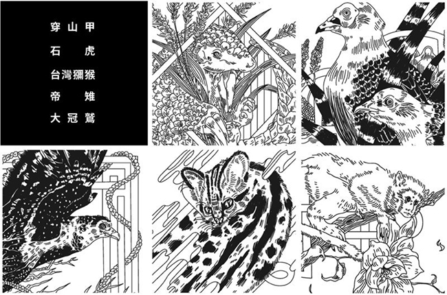 動保不是只有貓狗！野生動物落難後，重生之路這樣走