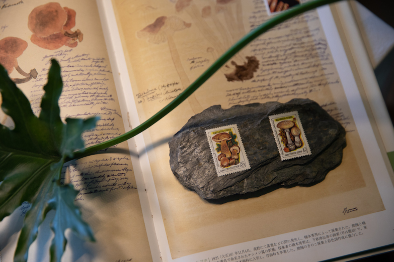 Home Hotel x 孩在「十三個房間 / 平行宇宙」隆重鉅獻