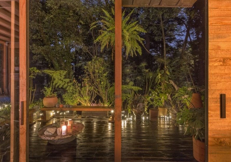 隱身綠意環抱的深處！入住令人稱羨的墨西哥漂浮樹屋 宛如置身人間秘境