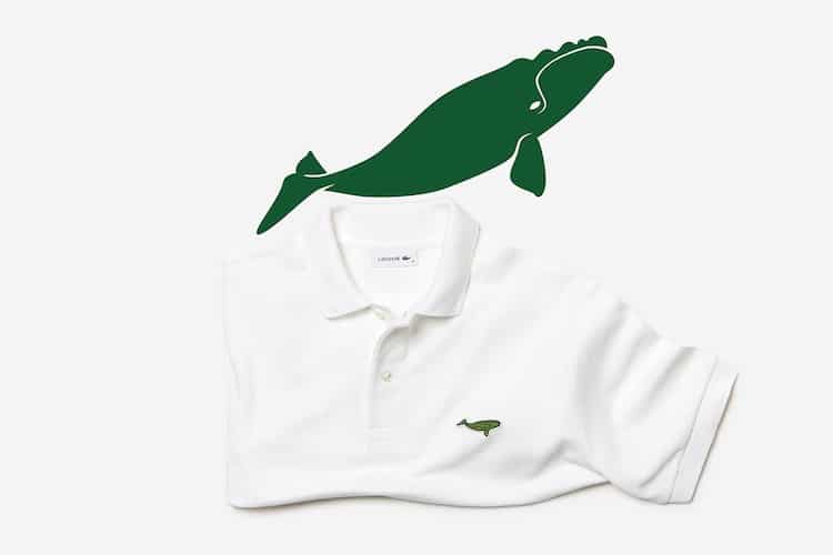 Lacoste 綠色短吻鱷魚 logo 退位？珍稀海豹、角鴞等地球 10 種瀕絕動物輪番上陣聲援動物保育