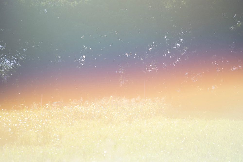 日本攝影師川內倫子的清新感攝影！透明感十足冷靜又溫柔的日常觀察學