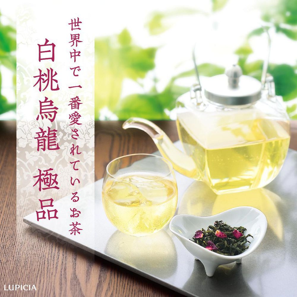 集結全世界美味茶包！日本LUPICIA「100種茶書禮盒」宛如茶品珠寶盒
