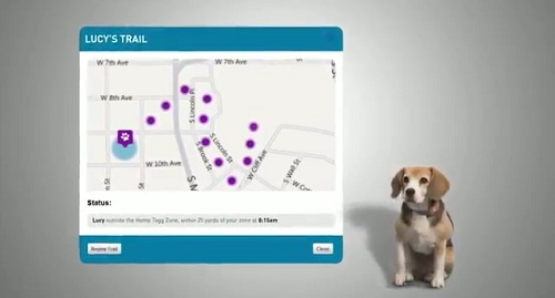 愛犬福音！再也不怕你走丟的「Tagg」GPS寵物項圈