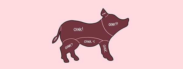 撫摸寵物教戰守則，照指南摸就對了！