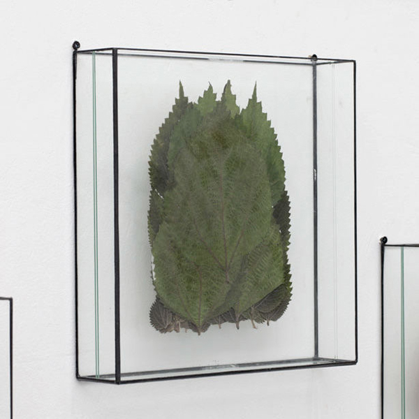 極簡盆栽器皿，把綠意包覆在幾何方塊中