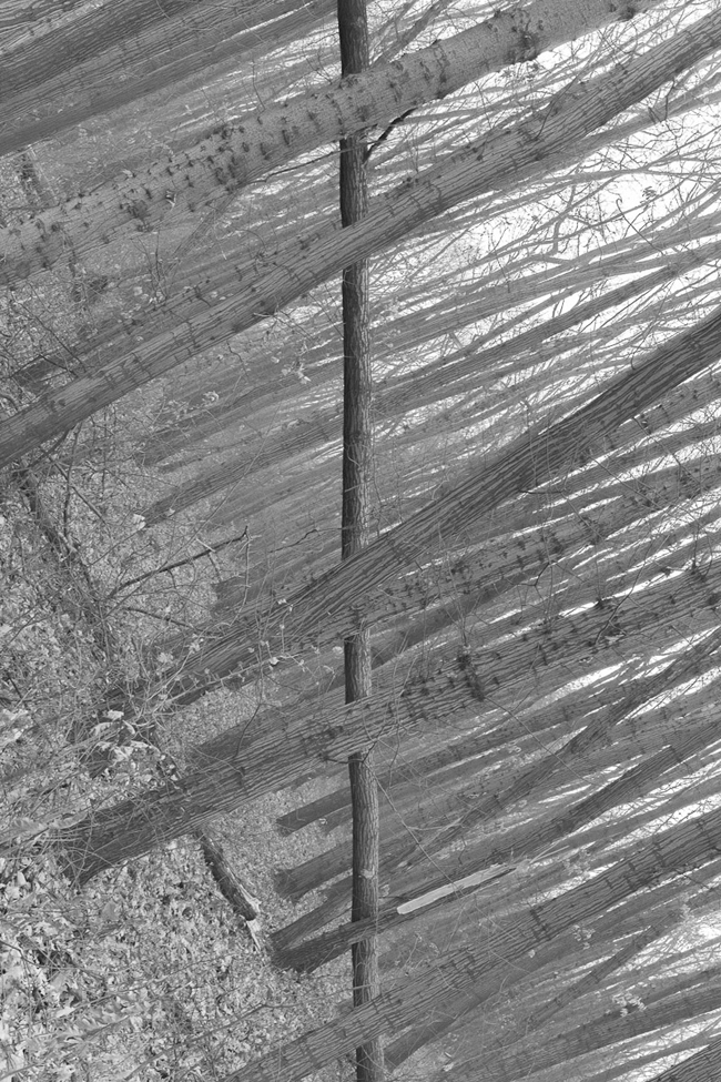 剛好按下快門！事先沒計畫的「巧合計畫」
