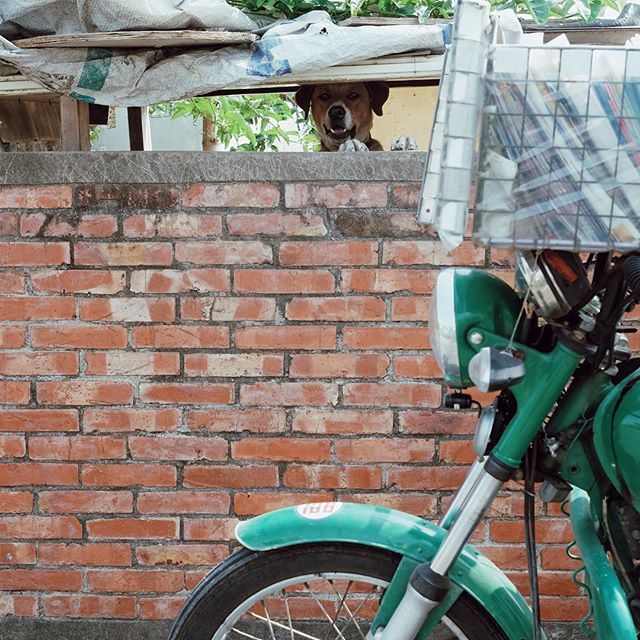 台南郵差先生的生活日常｜Taiwan IG Show vol.1